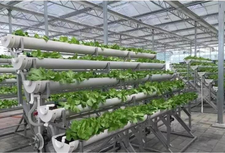  供应信息 农机 种植业机械 温室大棚 > 普洱无土栽培蔬菜设备