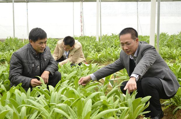 鹿寨县首个蔬菜自助销售点在黄冕林场正式建立