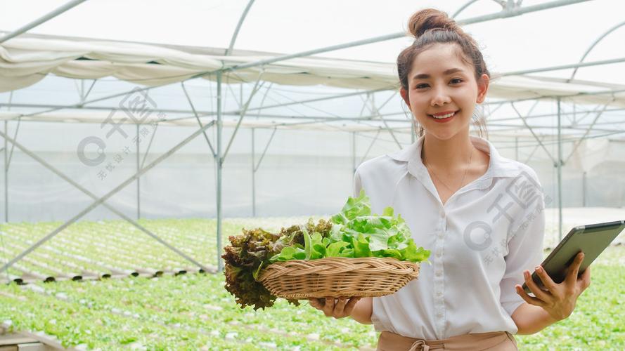 年轻的亚洲女商人农民产品销售优质植物和蔬菜手持平板电脑看着温室